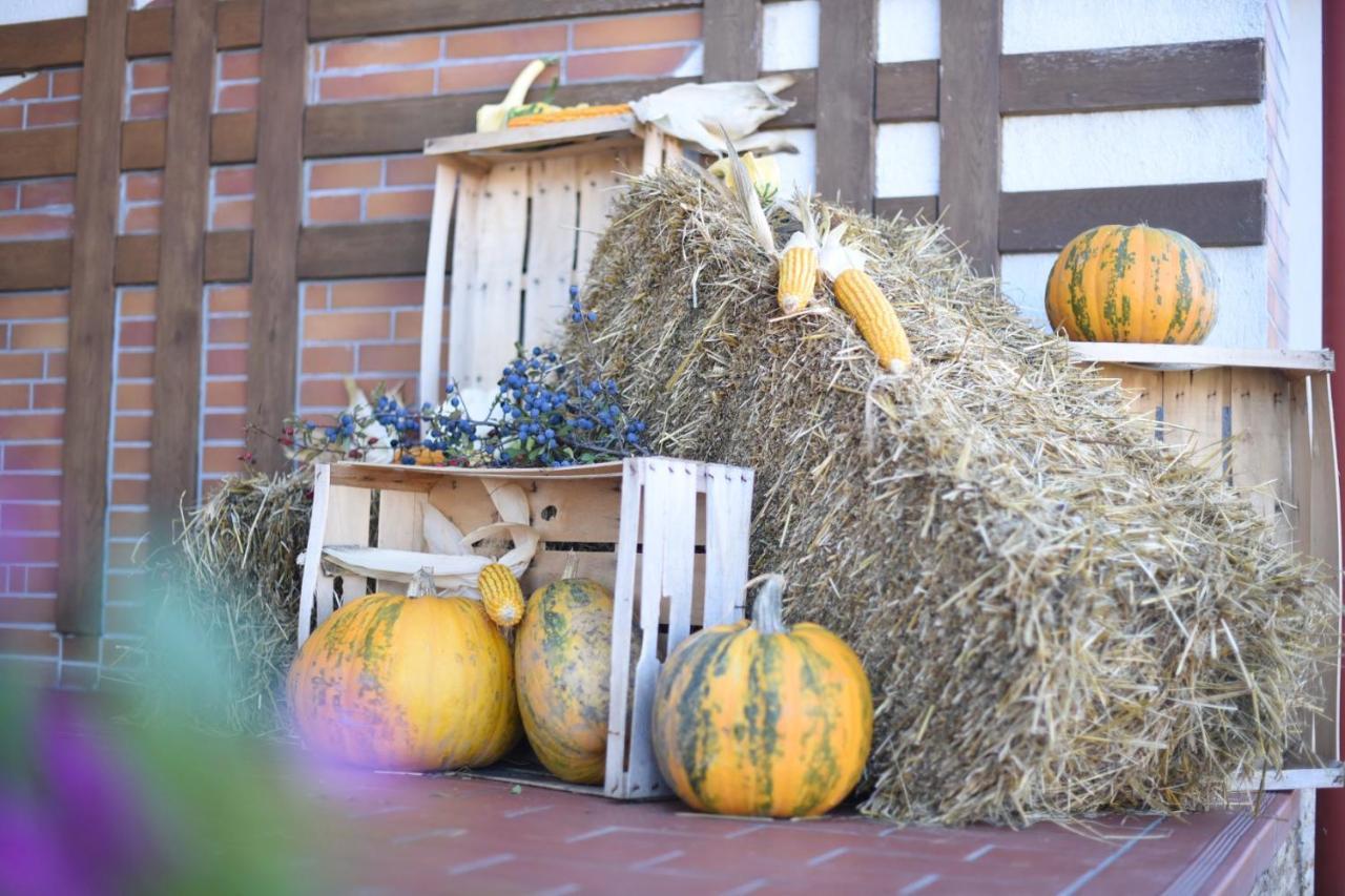 Bed and Breakfast Horizont Panzio Одорхею-Секуйеск Экстерьер фото